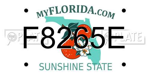 F8265E Florida License Plate
