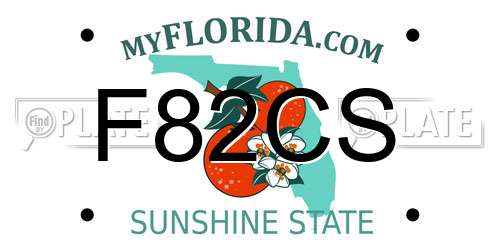 F82CS Florida License Plate