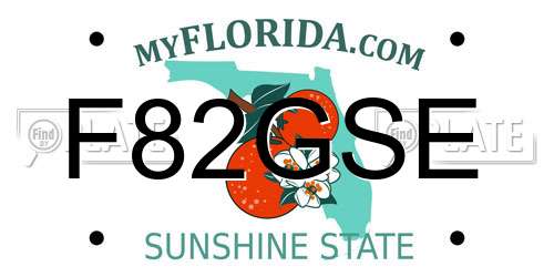 F82GSE Florida License Plate