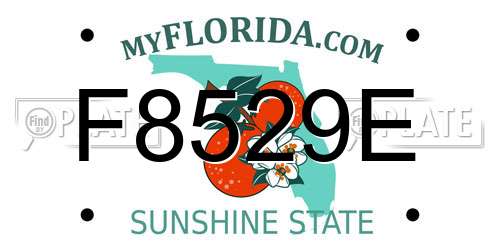 F8529E Florida License Plate