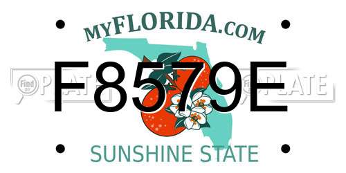 F8579E Florida License Plate