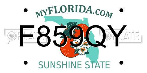F859QY Florida License Plate