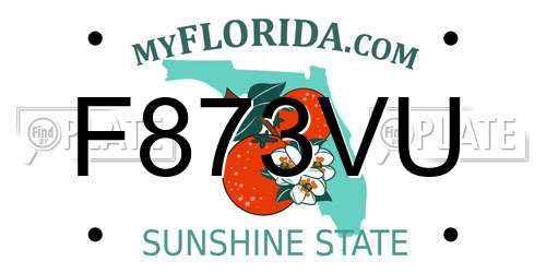 F873VU Florida License Plate