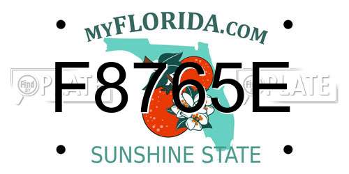 F8765E Florida License Plate