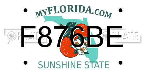 F876BE Florida License Plate