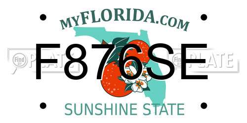 F876SE Florida License Plate