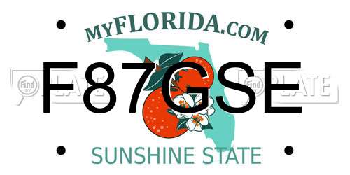 F87GSE Florida License Plate