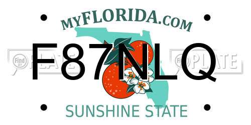 F87NLQ Florida License Plate