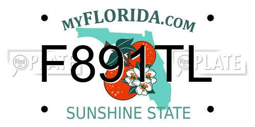 F891TL Florida License Plate