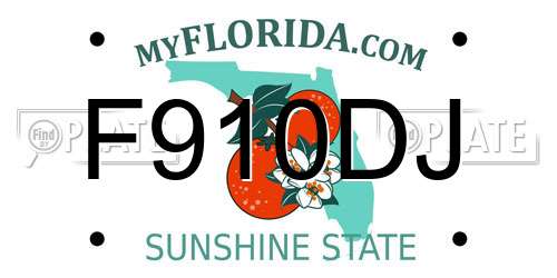 F910DJ Florida License Plate