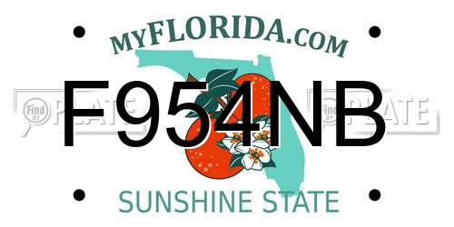 F954NB Florida License Plate