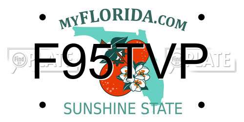 F95TVP Florida License Plate