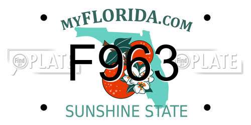 F963 Florida License Plate