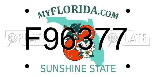 F96377 Florida License Plate