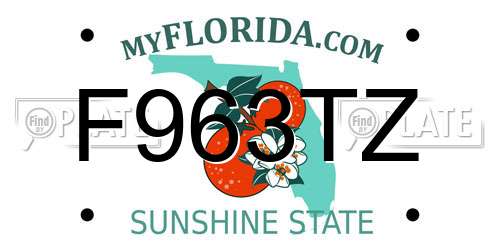 F963TZ Florida License Plate