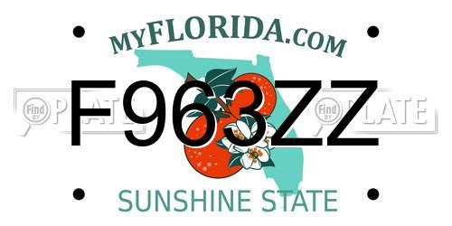 F963ZZ Florida License Plate