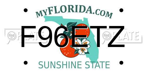 F96ETZ Florida License Plate