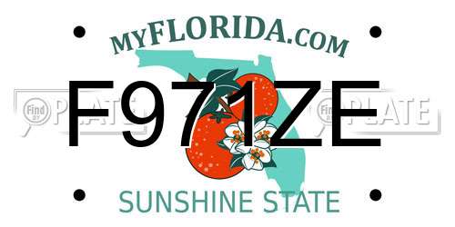 F971ZE Florida License Plate