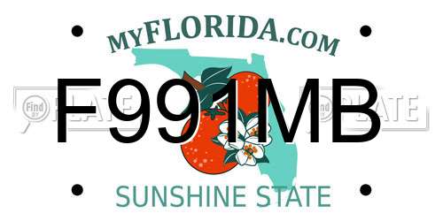F991MB Florida License Plate