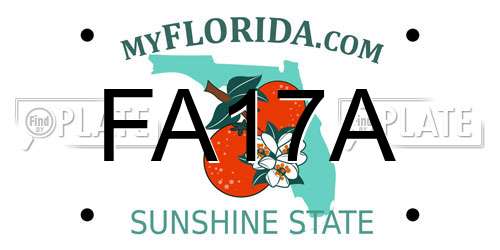 FA17A Florida License Plate