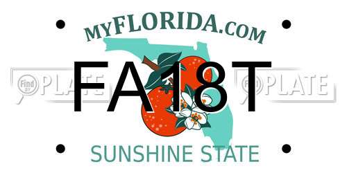 FA18T Florida License Plate