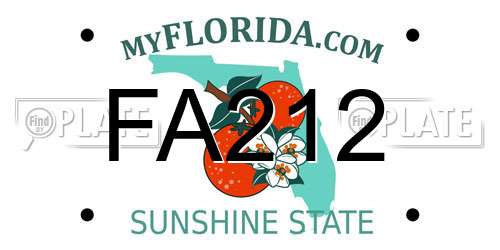 FA212 Florida License Plate