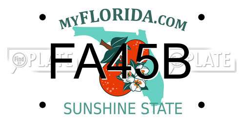 FA45B Florida License Plate