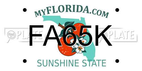 FA65K Florida License Plate