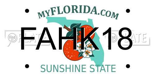 FAHK18 Florida License Plate