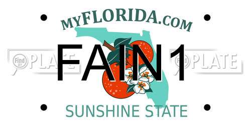 FAIN1 Florida License Plate