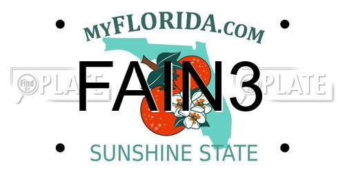 FAIN3 Florida License Plate