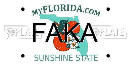 FAKA Florida License Plate