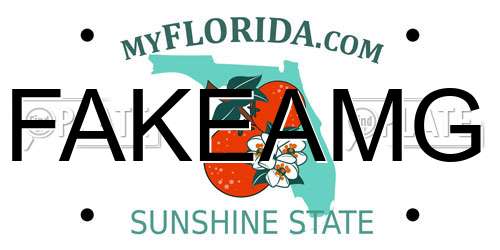 FAKEAMG Florida License Plate