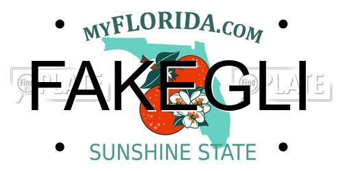 FAKEGLI Florida License Plate