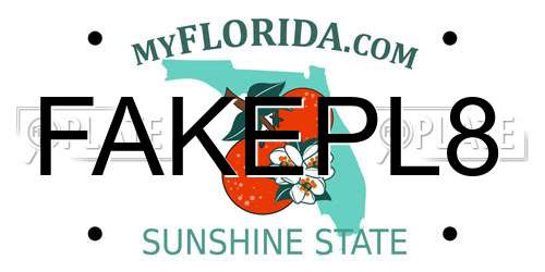 FAKEPL8 Florida License Plate