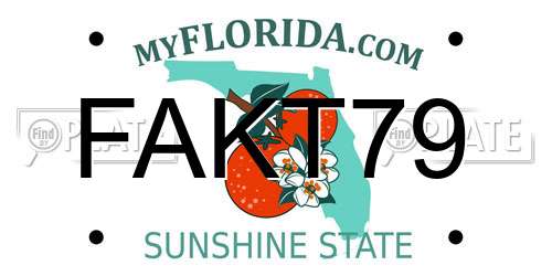 FAKT79 Florida License Plate