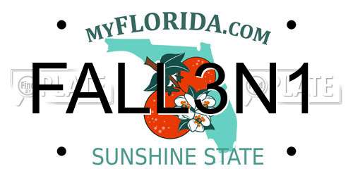 FALL3N1 Florida License Plate