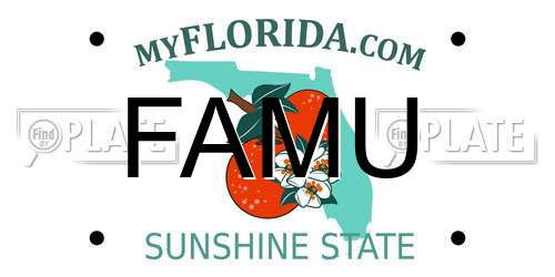 FAMU Florida License Plate