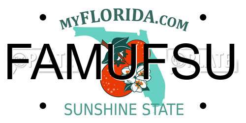 FAMUFSU Florida License Plate