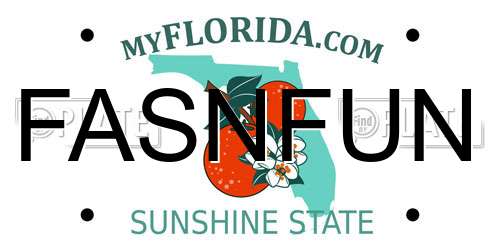 FASNFUN Florida License Plate