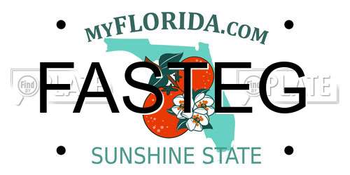 FASTEG Florida License Plate