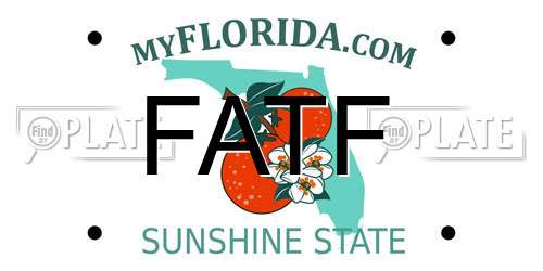 FATF Florida License Plate