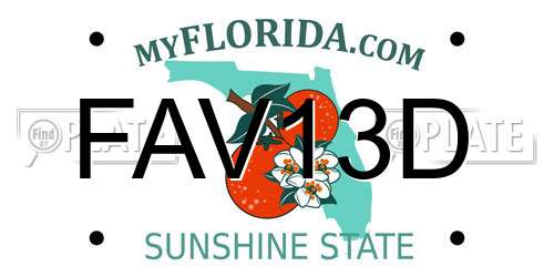 FAV13D Florida License Plate