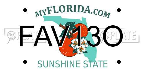 FAV13O Florida License Plate