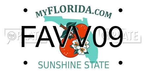 FAVV09 Florida License Plate