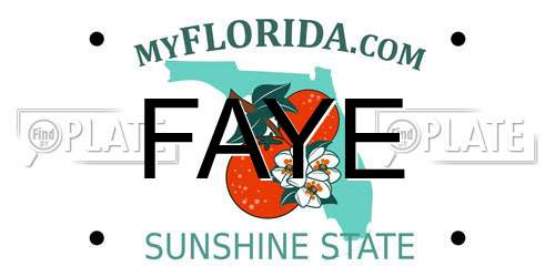 FAYE Florida License Plate