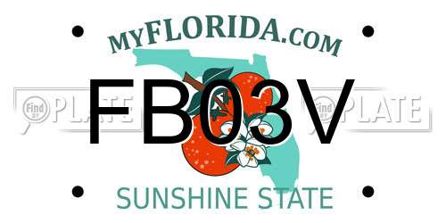 FB03V Florida License Plate