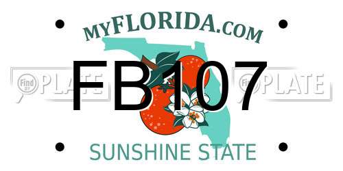 FB107 Florida License Plate