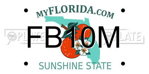 FB10M Florida License Plate