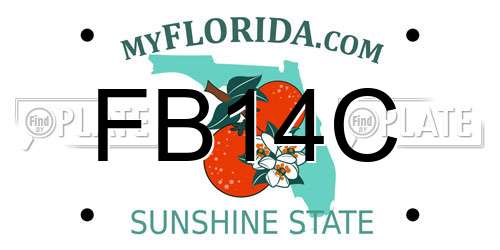 FB14C Florida License Plate